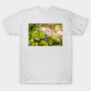 slb muscari T-Shirt